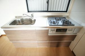 ルミエール城山 102号-3