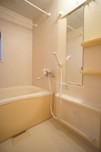 バリュージュ城山一番館 202号-9