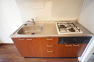 サルビアハイツ 106号-4