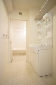 ブリズシャルダン　Ⅲ 102号-8