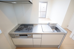 Ｌｕｍｉｒｉｃｈｅ　Ⅴ 101号-4