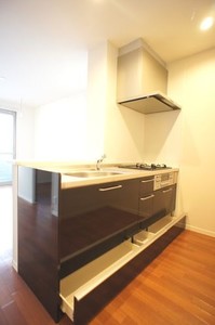 サイネリア 202号-3