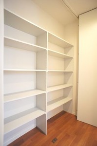 サイネリア 202号-6