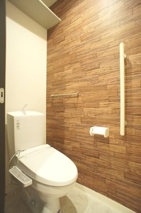 サイネリア 202号-8