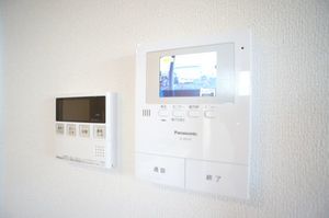 サイネリア 202号-10