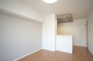 クレインズマンション 301号-3