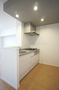 クレインズマンション 301号-4