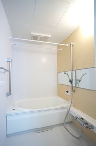 クレインズマンション 301号-5