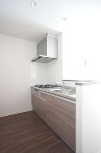 ランズドール 203号-3