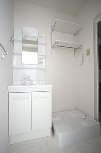 ランズドール 203号-8