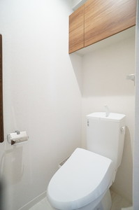 ランズドール 203号-11