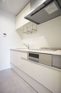 Ｓｈａｍａｉｓｏｎ　Ｅｂｉｎａ　Ⅱ 203号-8