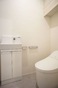 Ｓｈａｍａｉｓｏｎ　Ｅｂｉｎａ　Ⅱ 203号-11