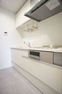 Ｓｈａｍａｉｓｏｎ　Ｅｂｉｎａ　Ⅱ 303号-8