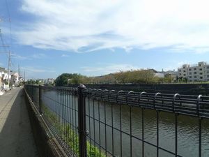 ハピネス　セド 101号-11