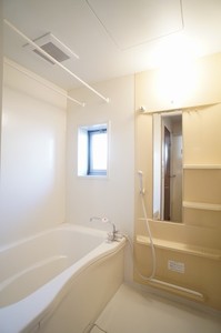 セレナ東海岸北　Ⅱ 202号-8