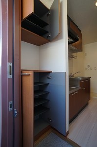 セレナ東海岸北　Ⅱ 202号-11