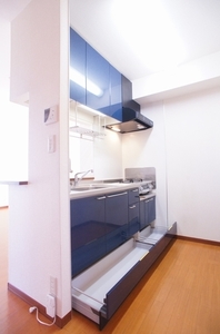 プラムハウス　Ｄ 101号-4