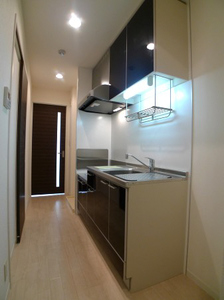 ラフェスタ湘南 302号-3