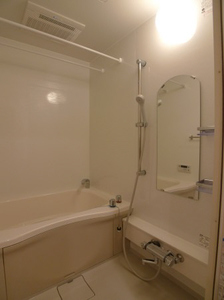 ラフェスタ湘南 302号-7