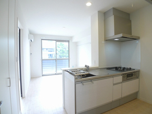 レイクロワール Ⅴ 201号-2