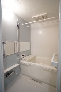ラマン・ネージュ 302号-8