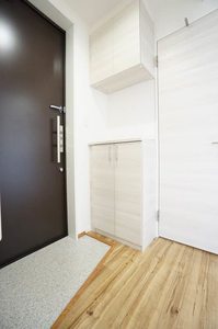 ラマン・ネージュ 303号-11