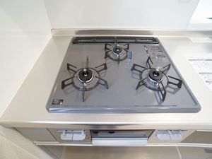 ラ・グランジュ 203号-4