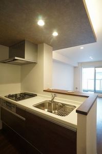 アンビシア 302号-2