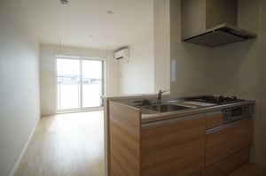 アルコバレーノ茅ヶ崎 305号-2