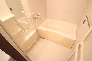 ソレイユ湘南　Ｄ 301号-9