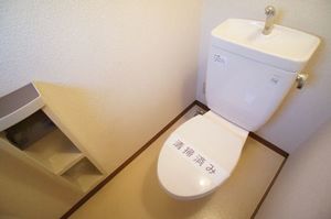 プレザントＭ　Ⅱ 105号-11