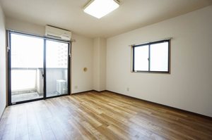 ソレイユ三和 411号-2