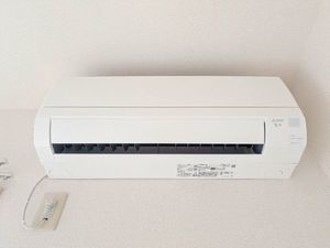 プリュニエ C 202号-12