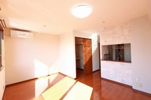 アムール 205号-3