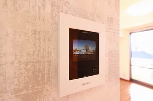 アムール 205号-9