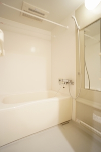 キャロット・ハウス　Ⅱ 202号-9