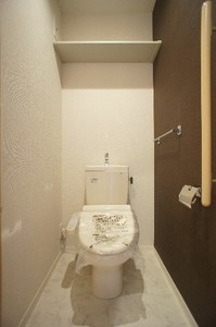 ＳｈａＭａｉｓｏｎ　Ｏｕｇｉ 205号-11