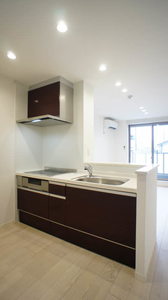 プレミアムレジデンス 201号-3