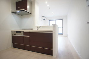 プレミアムレジデンス 301号-3