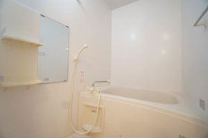 ボーフルーヴナガセ 201号-8