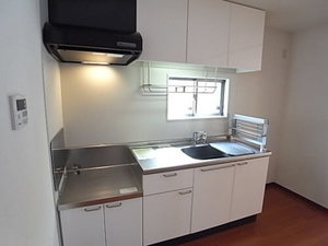 ドム・NiSi 101号-3