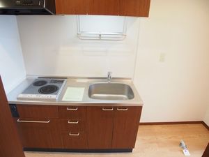 ビラ セレーナ 103号-12