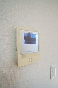 マーキュリーセント 101号-14