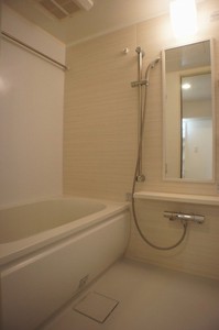 メゾン・ブランシュ 101号-9