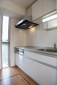 メゾン・ブランシュ 101号-11