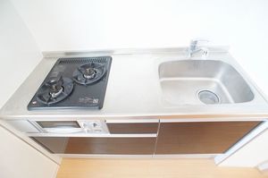 ピノ・ヴィエント 302号-6