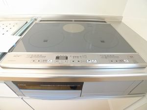 サザンテラス茅ヶ崎 201号-4