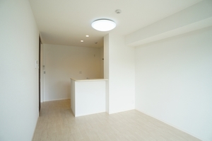 カーサ・アネーロ湘南 102号-3