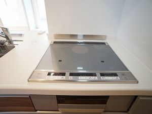 Ｃｒｙｐｔｏｍｅｒｉａ湘南 102号-4